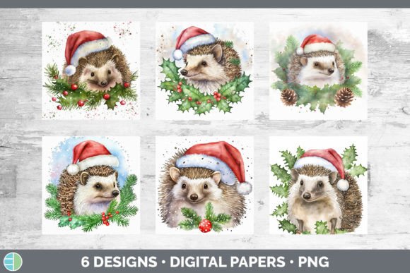 Santa Hedgehog Christmas Backgrounds D Illustrations